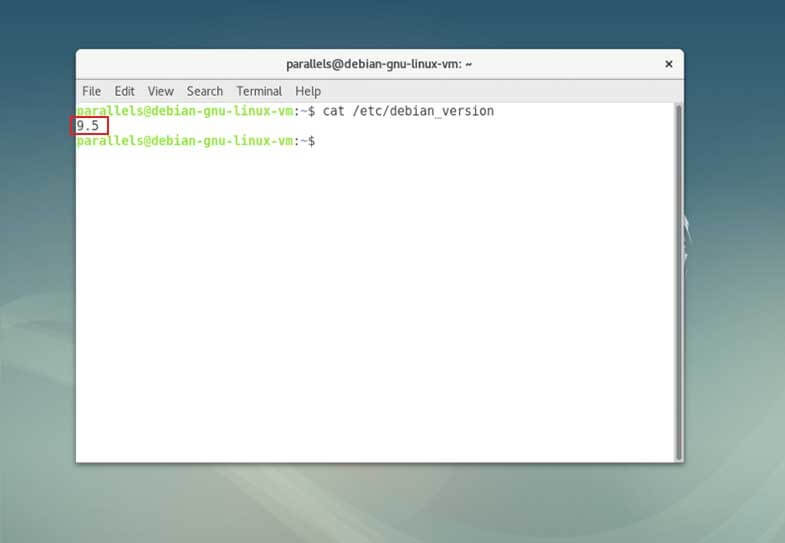 El comando cat muestra la versión de Debian en el terminal