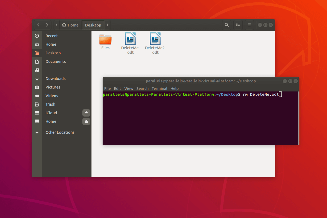 Elimina archivos individuales en Linux a través de la terminal