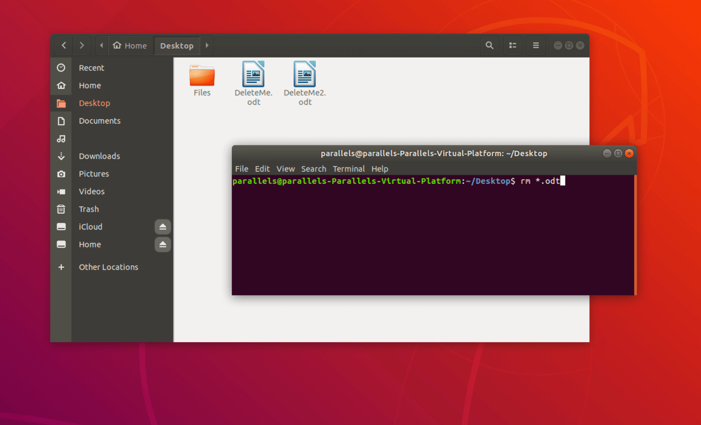 Elimina archivos de un tipo determinados a través de la terminal de Linux