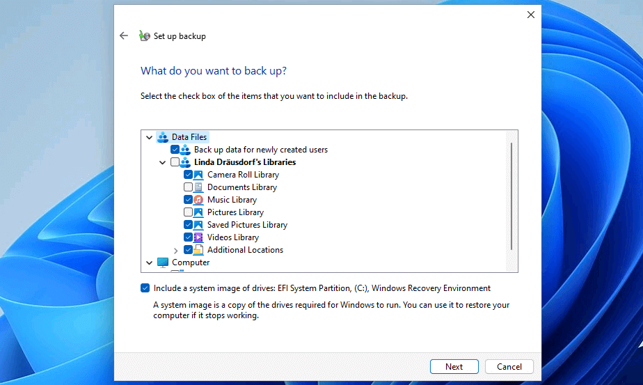Backup de Windows 11: Selección de los archivos de los que se hará copia de seguridad