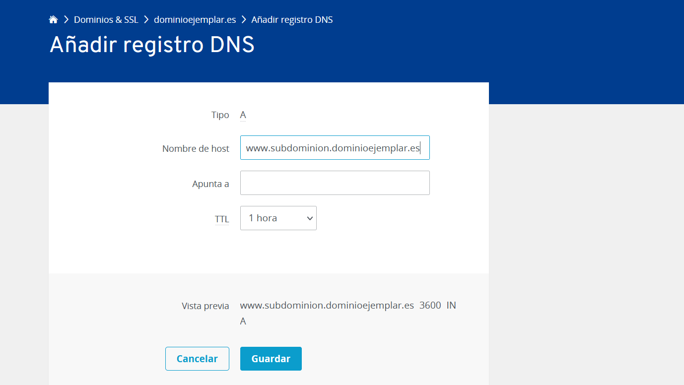 Añadir registro DNS en el panel de IONOS Cloud