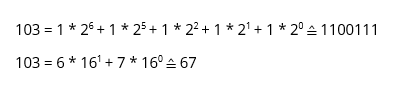 Representación binaria y hexadecimal de “g”