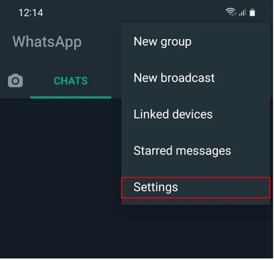 WhatsApp: Ajustes dentro del menú