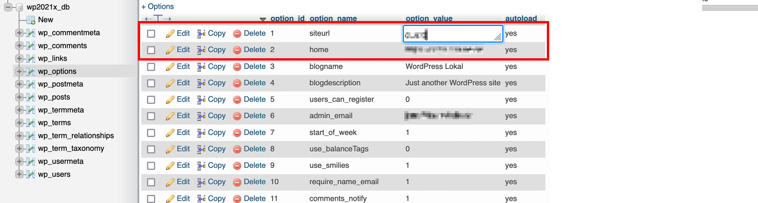 wp_options en la base de datos de WordPress