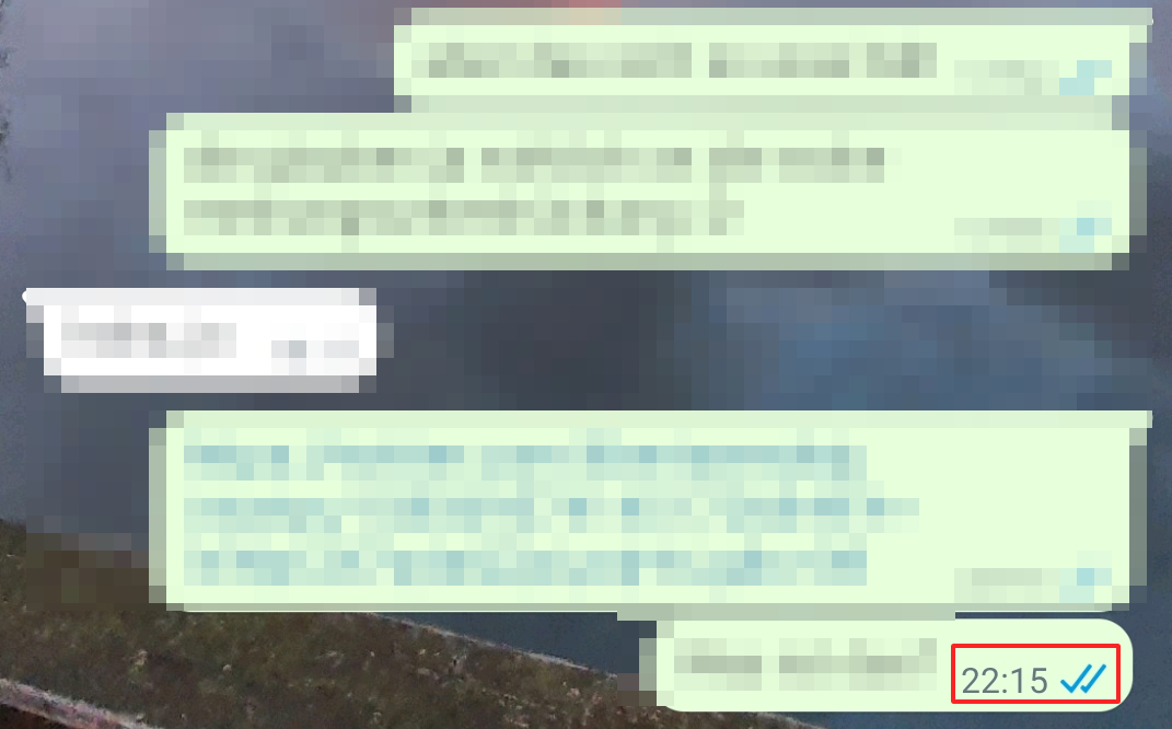 Captura de pantalla del estado de entrega de un mensaje en WhatsApp