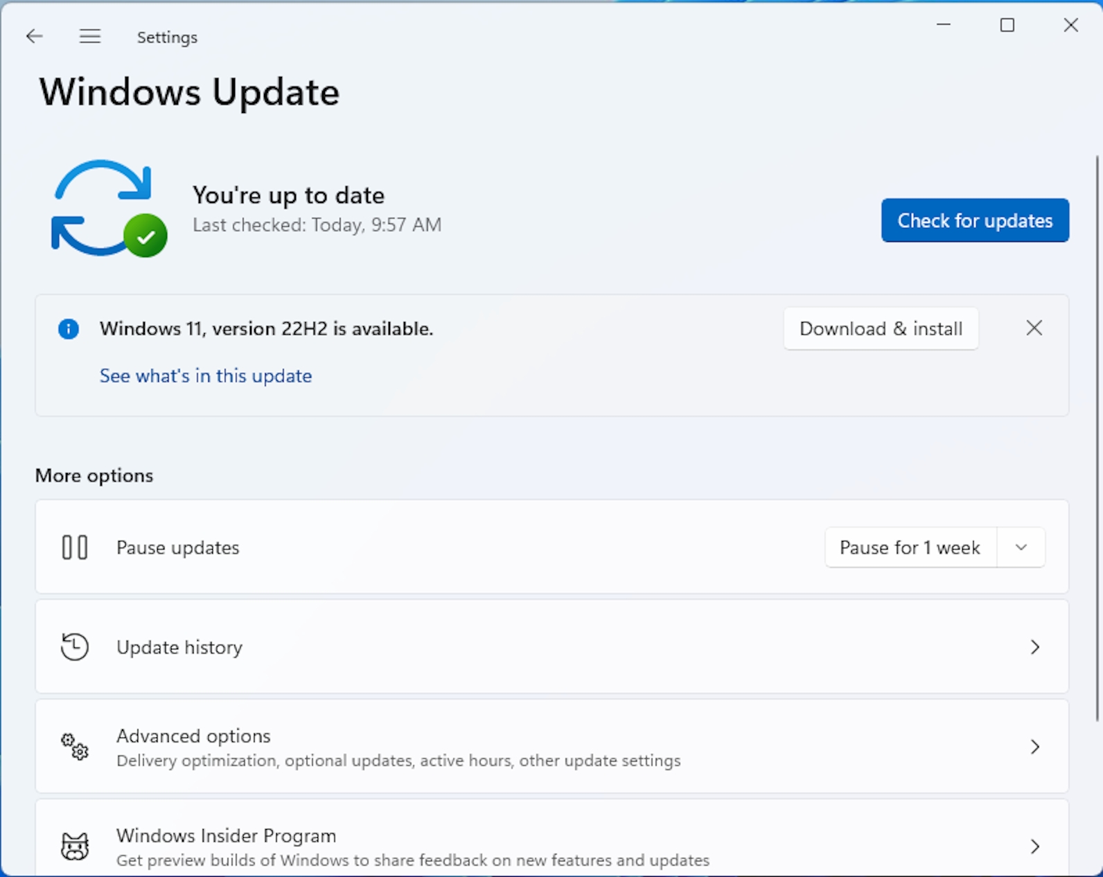 Al realizar una actualización de Windows, todos los productos de la suite 365 también se actualizan