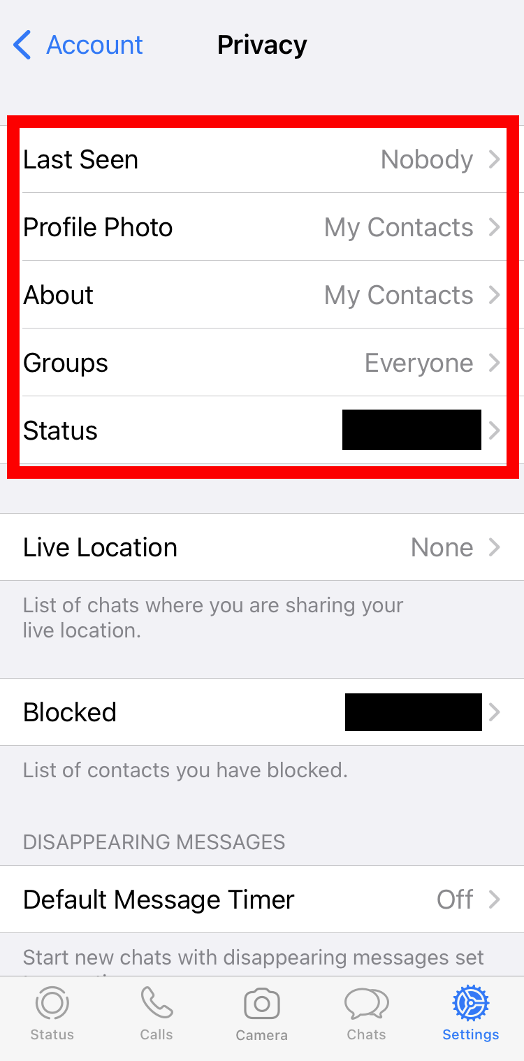 Captura de pantalla de iPhone del área de privacidad en WhatsApp