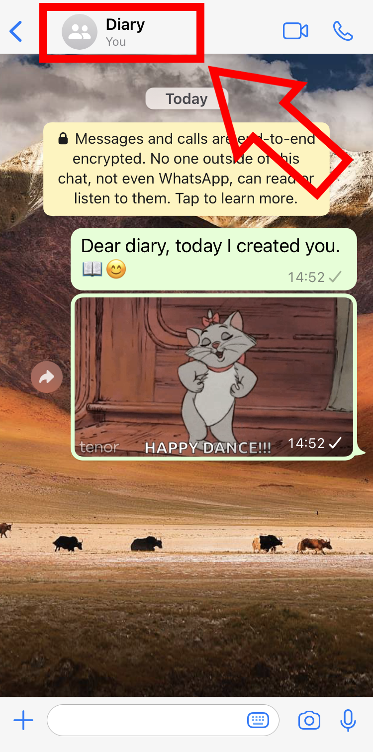 Captura de pantalla en iPhone de un chat diario creado por el usuario en WhatsApp