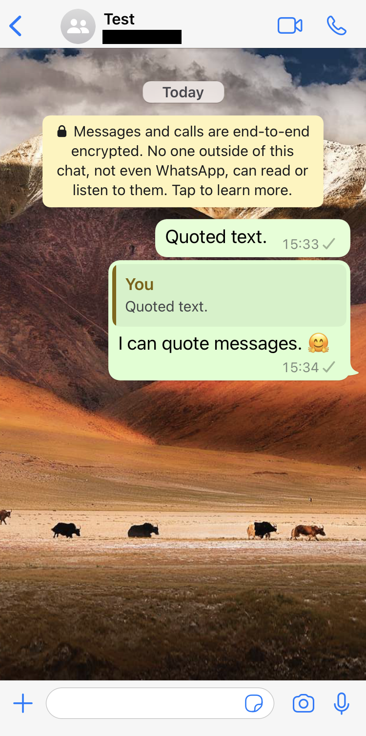 Captura de pantalla de iPhone en un chat de WhatsApp con un mensaje que incluye un texto citado
