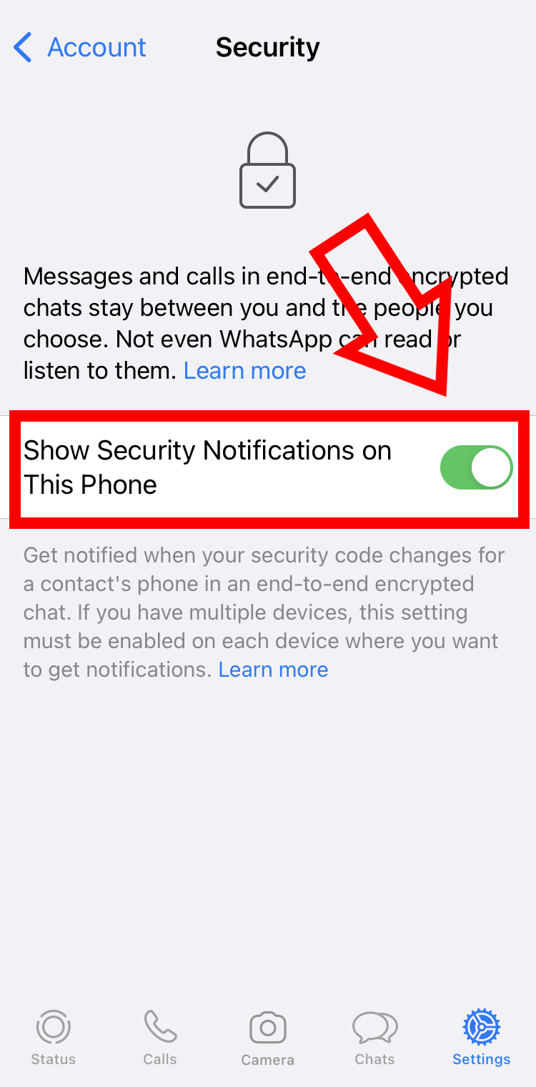 Captura de pantalla en iPhone del área de seguridad en los ajustes de la cuenta de WhatsApp
