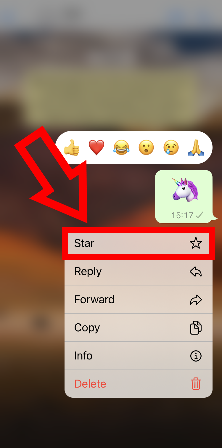 Captura de pantalla del iPhone con referencia a la opción “Marcar con una estrella” en WhatsApp
