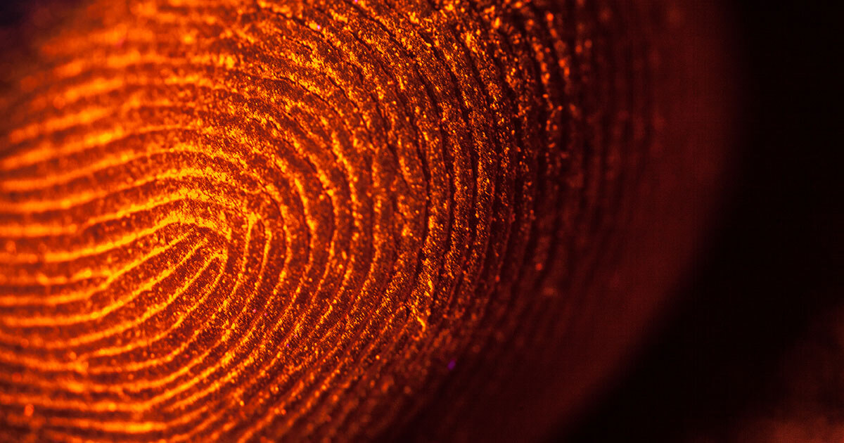 Canvas fingerprinting: el web tracking sin cookies