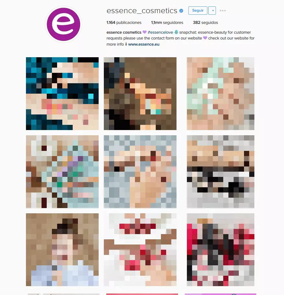 Perfil de la marca essence en la versión web de Instagram