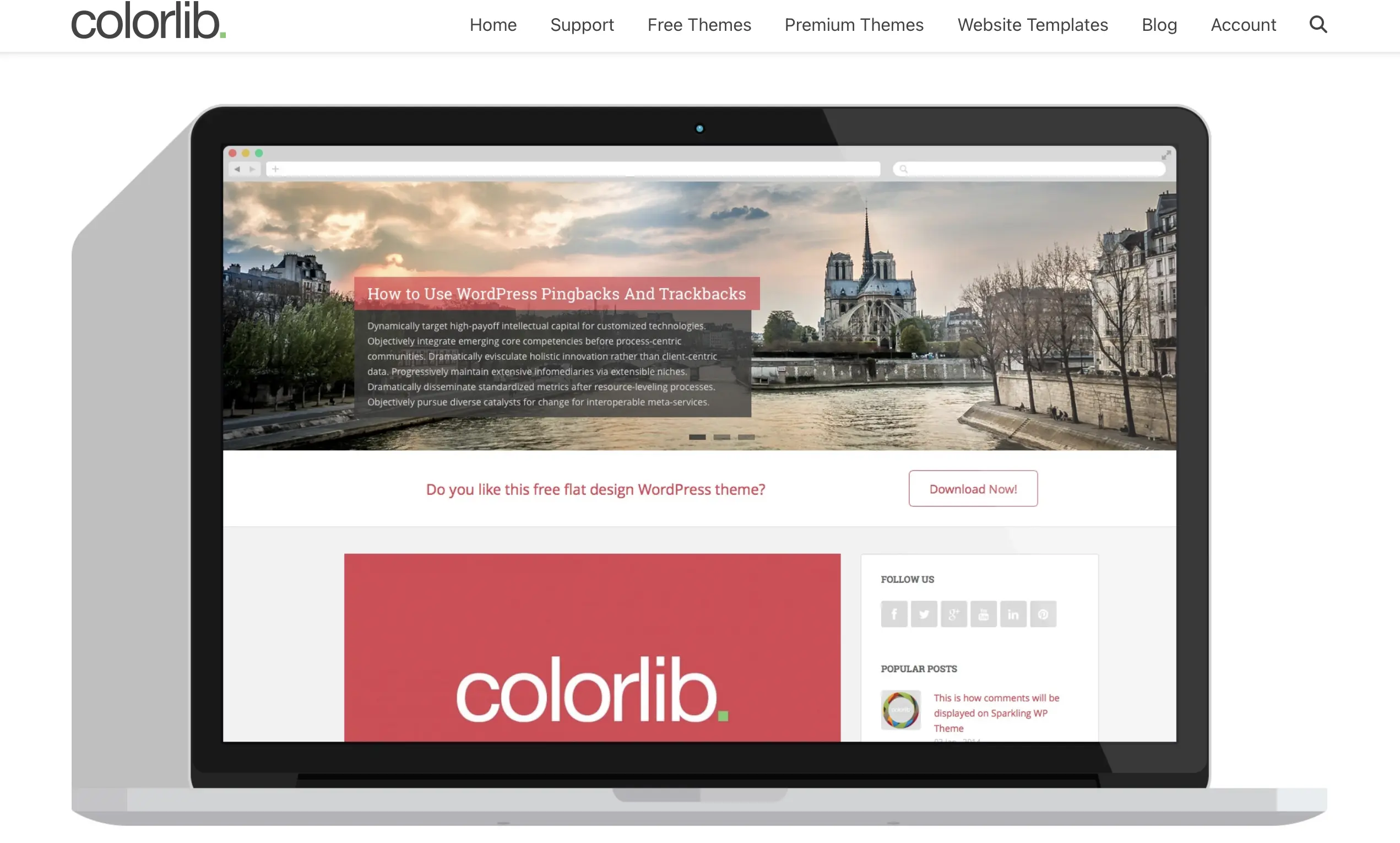 Imagen: Página web del desarrollador de Sparkling, Colorlib