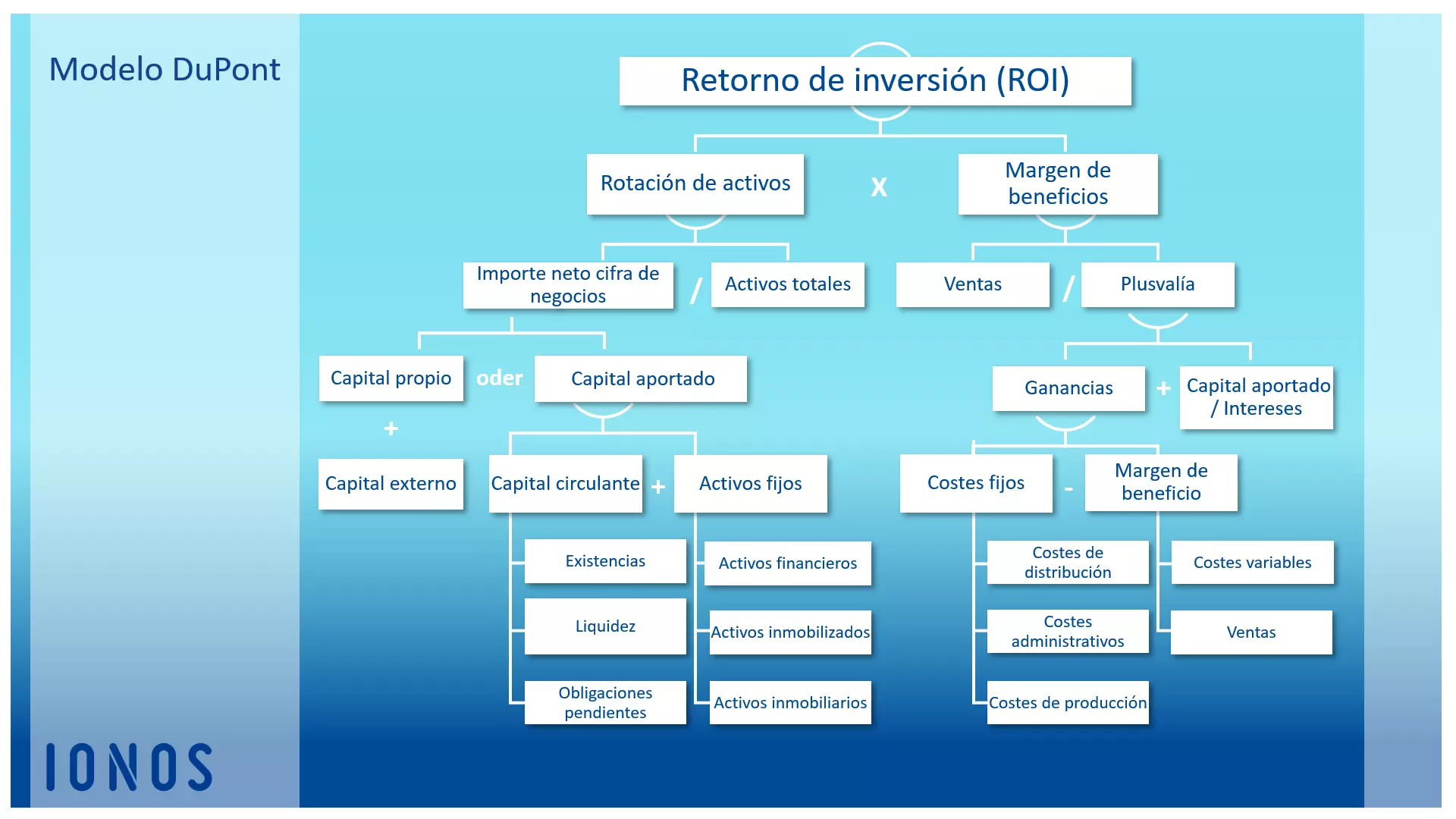 Imagen: roi-ES-4.png