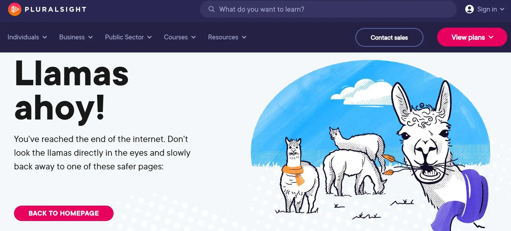 Imagen: Imagen: Página 404 de Pluralsight