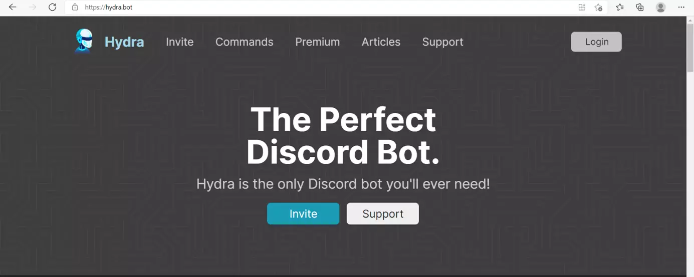 Imagen: Entra a la página web del bot de música deseado