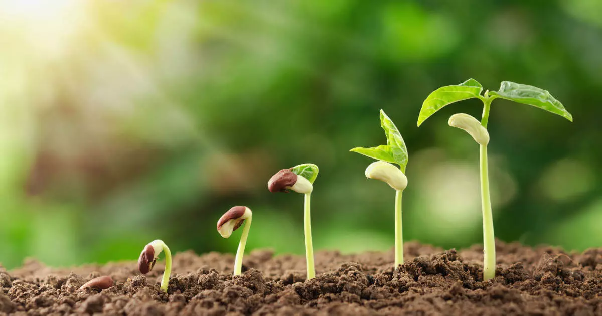 Imagen: ISO 14001 – Una norma para conseguir una mayor sostenibilidad