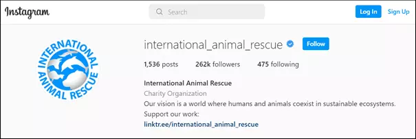 Imagen: Ejemplo de una biografía de Instagram: International Animal Rescue