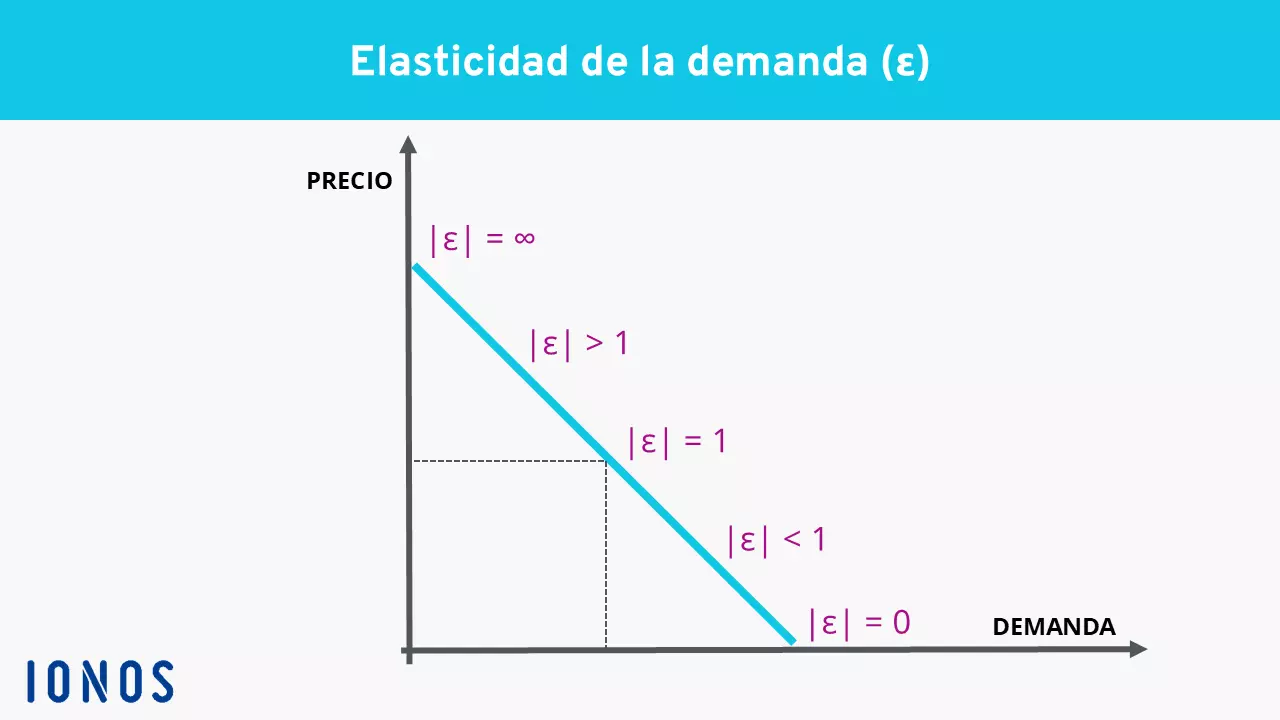 Imagen: Gráfica de la elasticidad de la demanda