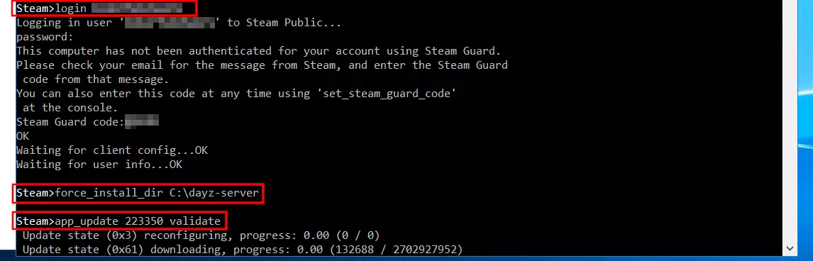 SteamCMD: Instalación del servidor de DayZ Imagen: SteamCMD: Instalación del servidor de DayZ