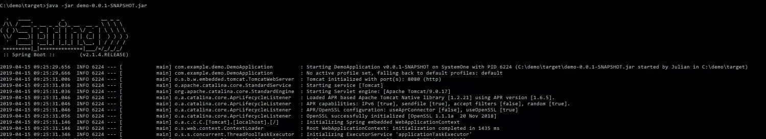 Imagen: Inicio de la aplicación en Spring Boot.