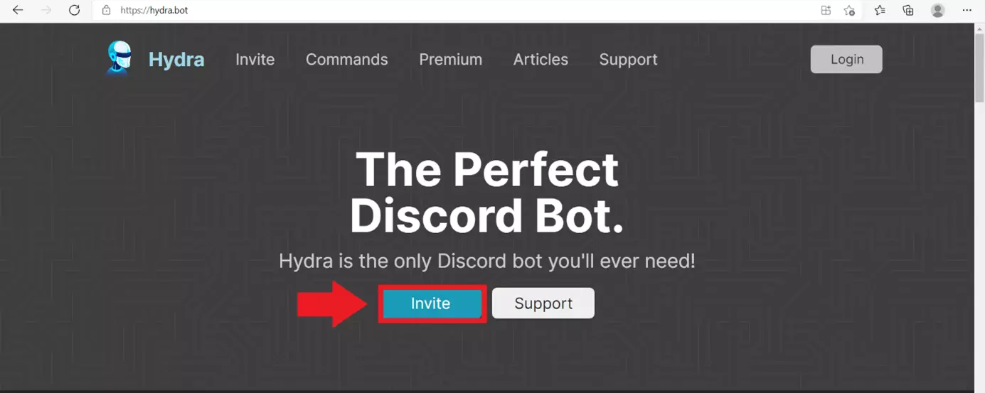 Imagen: Haz clic en “Invite” para añadir el bot de música a tu servidor de Discord