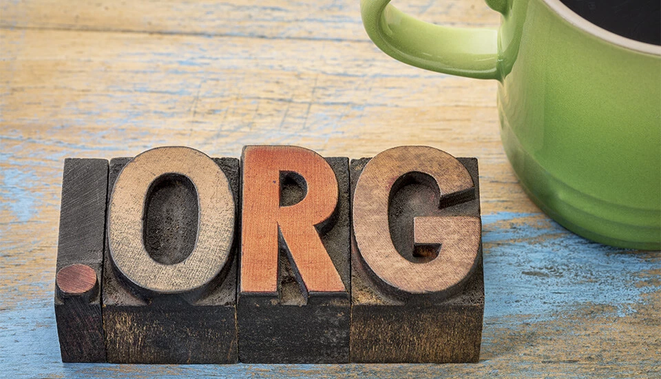 Imagen: ¿Qué significa .org? Todo sobre este dominio