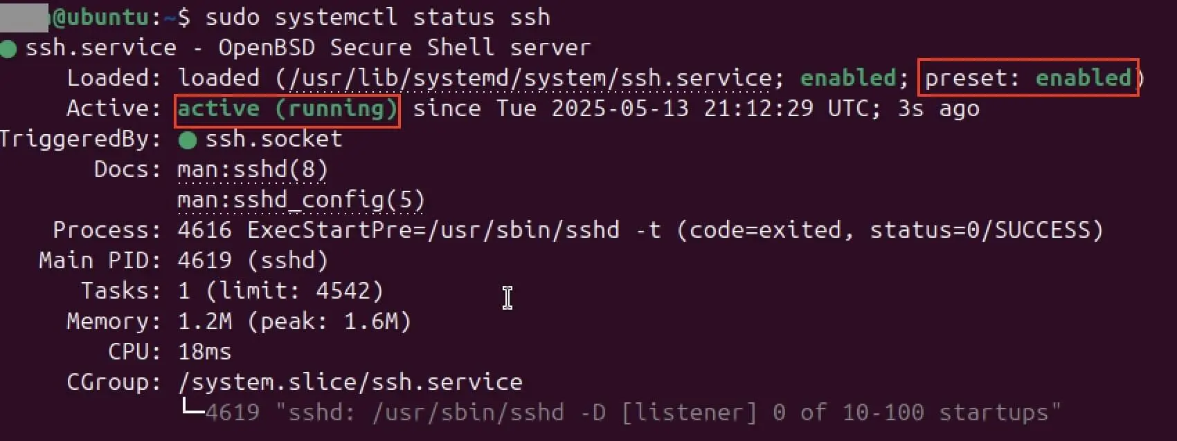 Imagen: Captura de pantalla del estado de SSH en el terminal