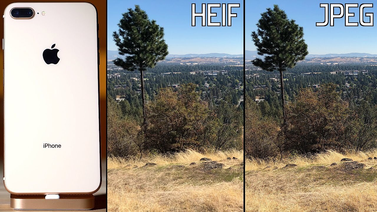4QnjpeT1ihE.jpg
